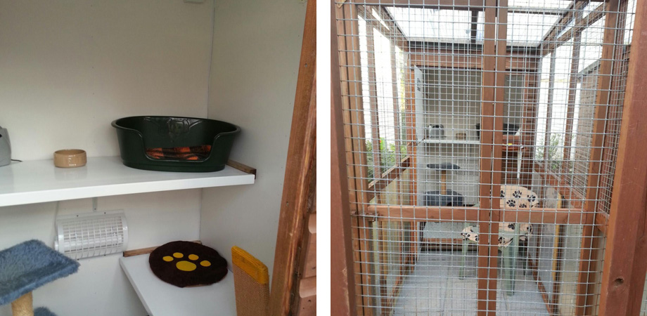 Abbey Lodge Cattery Elburton Plymouth Devon